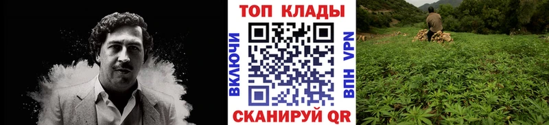 Магазин наркотиков Тулун Бошки Шишки  Alpha-PVP  KRAKEN как зайти  КОКАИН  Меф мяу мяу 