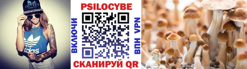 Галлюциногенные грибы Psilocybine cubensis Тулун