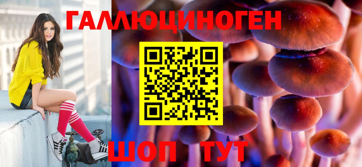 A PVP Тулун