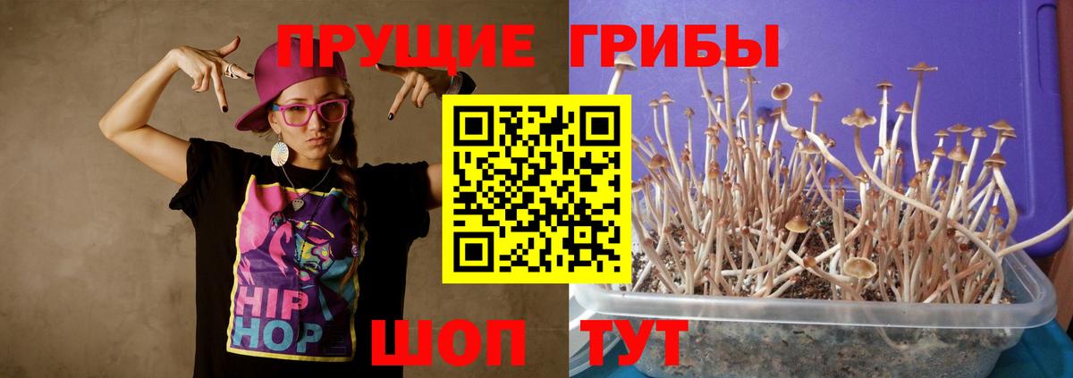Галлюциногенные грибы мухоморы Тулун